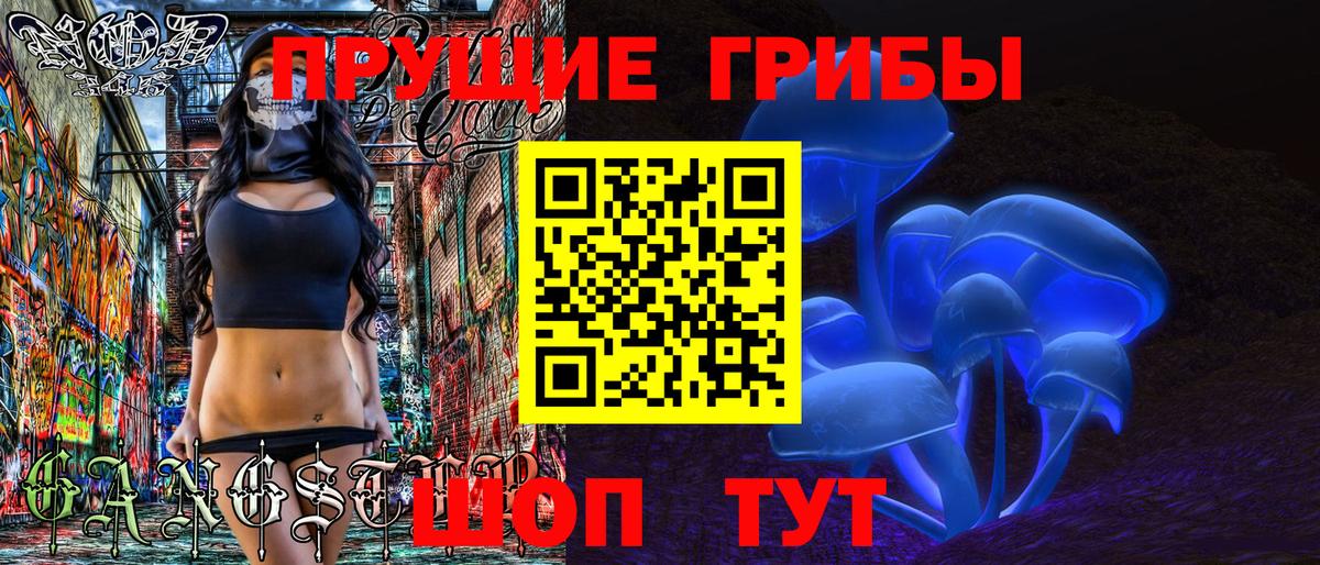 Сорочинск  Псилоцибиновые грибы ЛСД  Вход с VPN  Псилоцибиновые грибы Psilocybe 